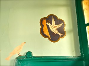 colombe 2 - dove 2 - حمامة ٢