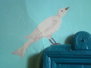 Colombe - Dove - حمامة