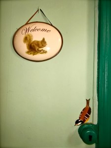 Oiseau 2 - Bird 2 - عصفور ٢